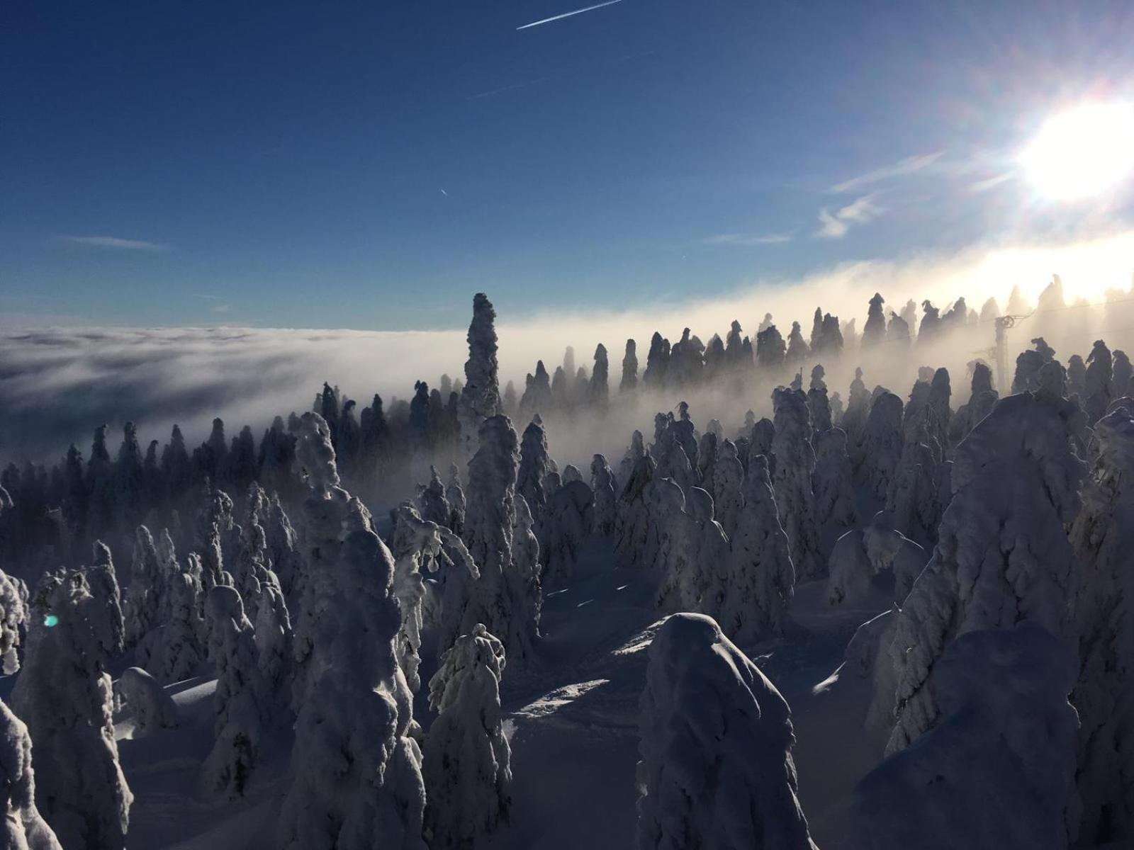Apartmán Švícárek Loučná pod Klínovcem Exteriér fotografie